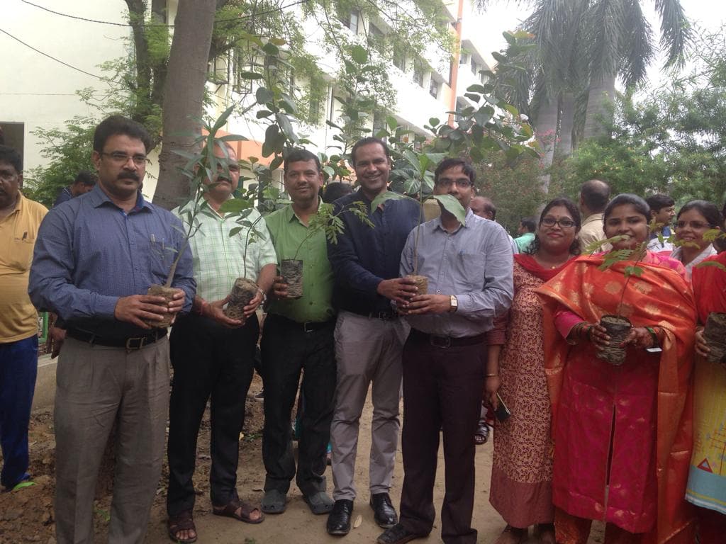 Plantation Drive - Image 4