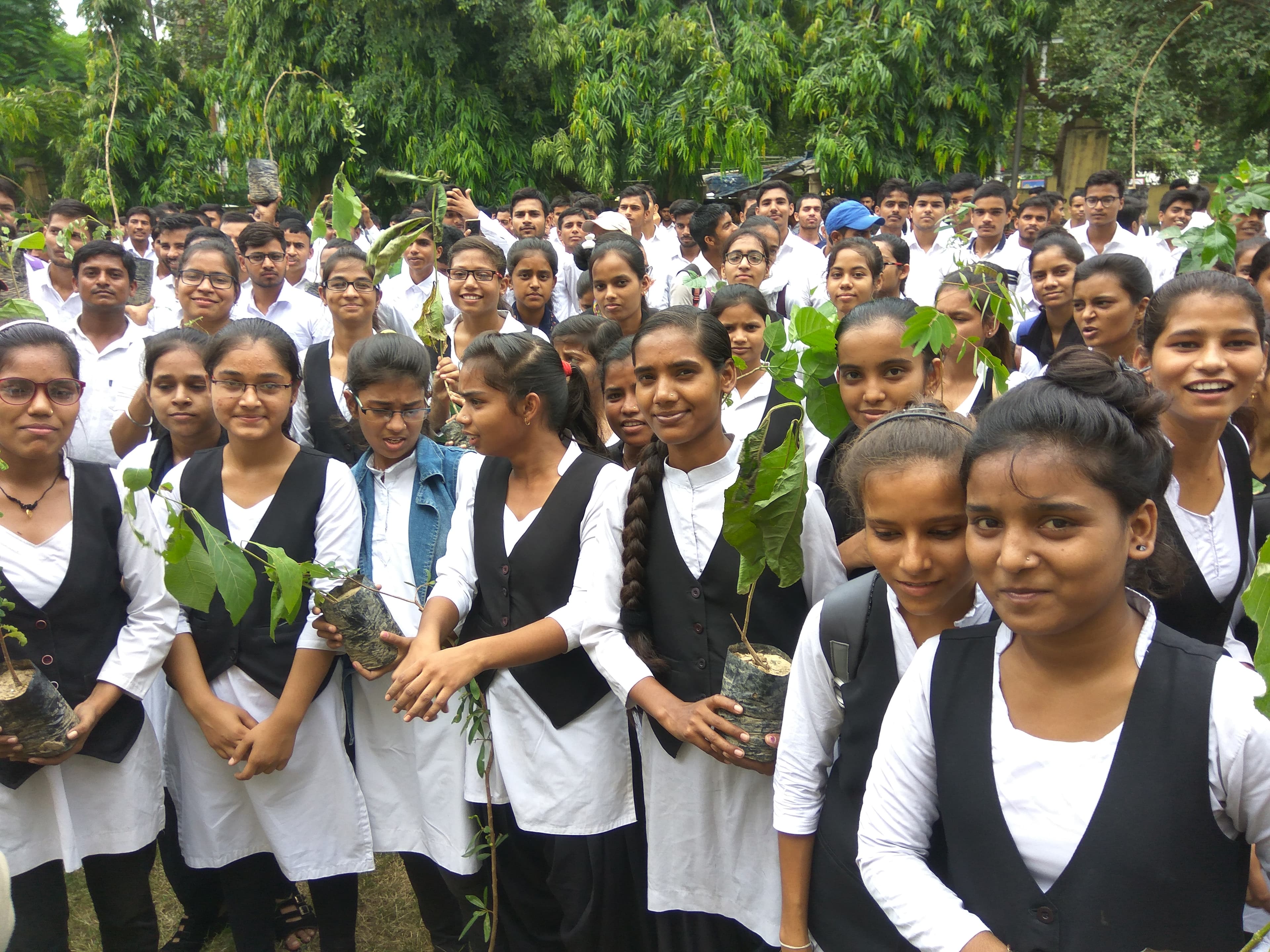 Plantation Drive - Image 8