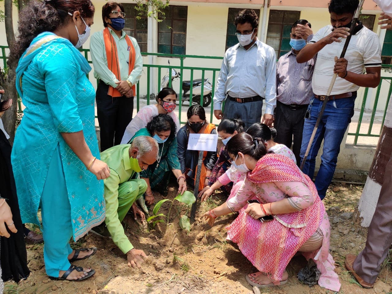 Vrisharopan 2021 - Image 2